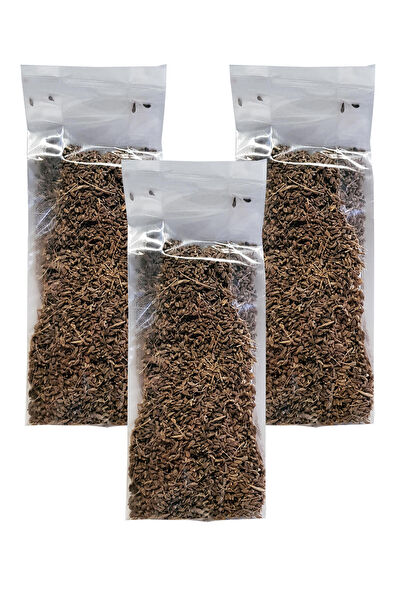 Zencefil Organik Çay