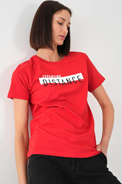 Alexander Gardi Kadın Tişört