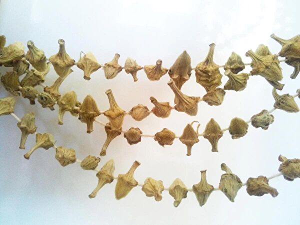 Dökme Ürünler Sebze