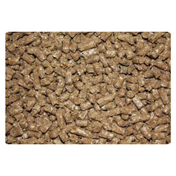 Akvaryum Balık Yemi