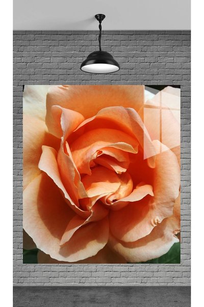 Beta Moda Hub Cam Tablo