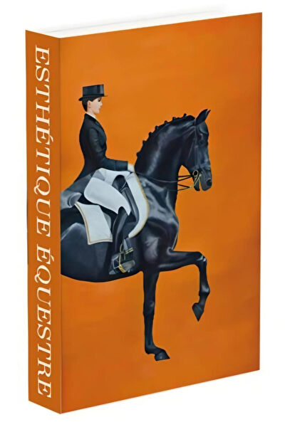 biseystore Sepet, Kutu