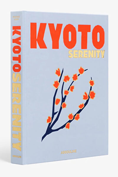 biseystore Sepet, Kutu