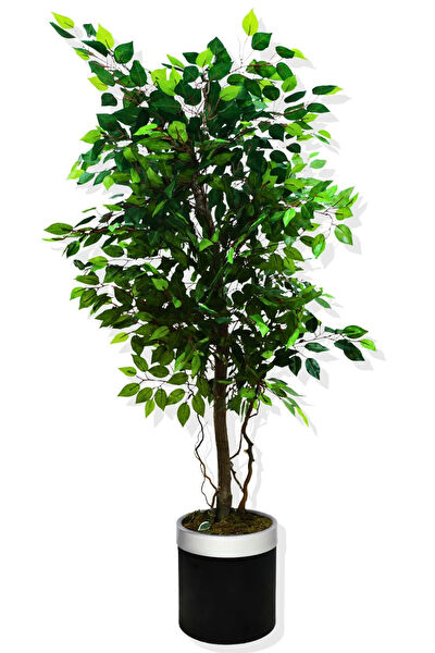 CİHAN ÇİÇEKÇİLİK Yapay Çiçek, Meyve