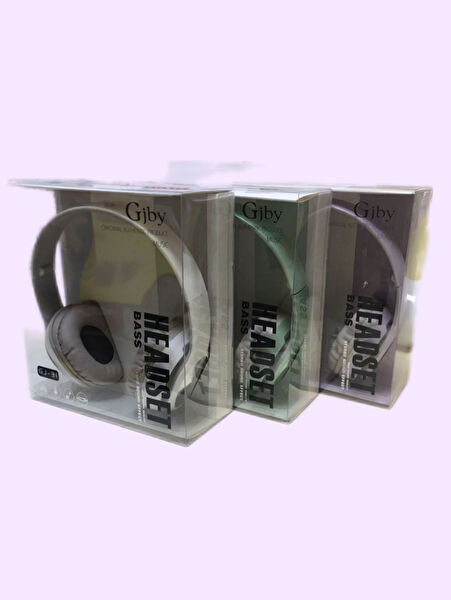 1001 Aksesuar Bilgisayar Kulaklığı