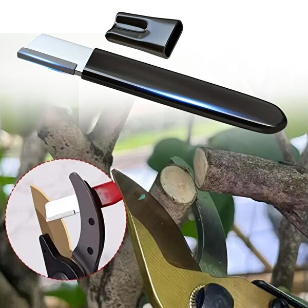 By Nevser Bıçak Bileyici, Masat