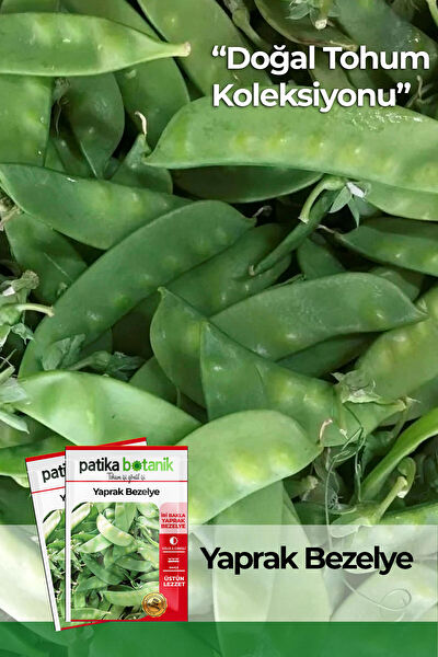 Patika Botanik Tohum