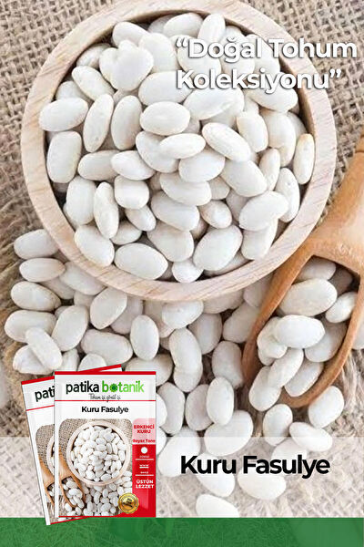 Patika Botanik Tohum