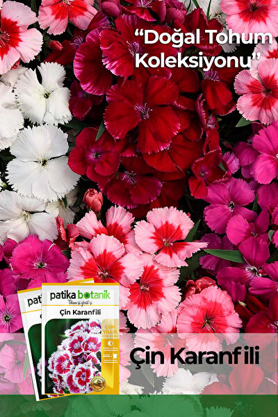 Patika Botanik Tohum