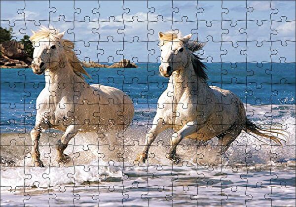 cakapuzzle Puzzle