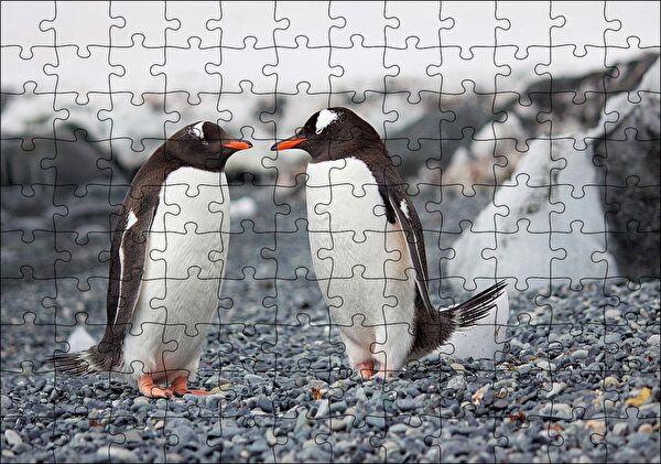cakapuzzle Puzzle