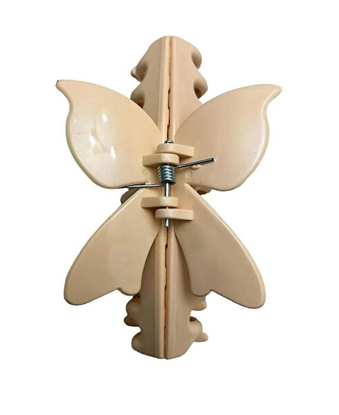 Cans Trendy Kadın Saç Tokaları ve Yüzükleri