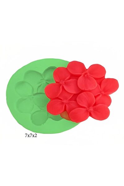 Butedo Kurabiye, Çikolata Kalıbı