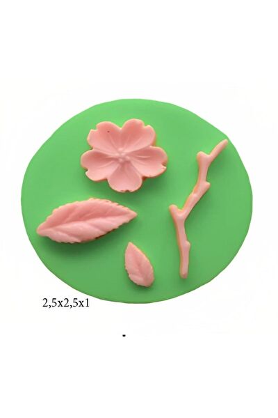 Butedo Kurabiye, Çikolata Kalıbı