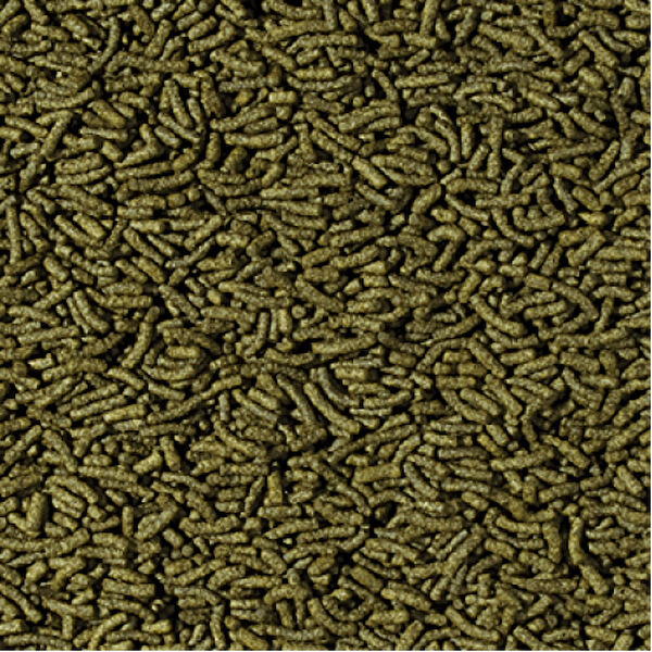 Tropical Balık Yemi