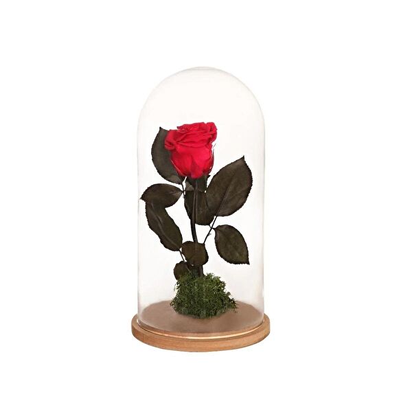 AMOUR ETERNEL Dekoratif Obje, Biblo, Figür