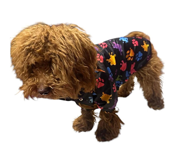 Gedyco Köpek Elbisesi