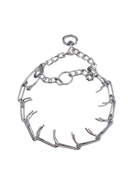 AquaHome Köpek Güvenlik