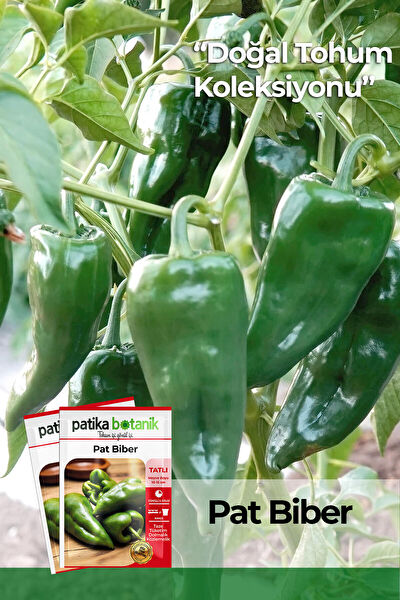 Patika Botanik Tohum