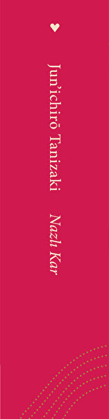 Can Yayınları Roman