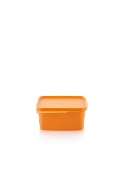 Tupperware Saklama Kabı