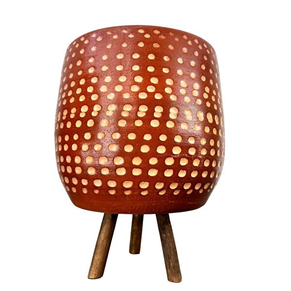 Bitki Tasarımı Vazo, Saksı