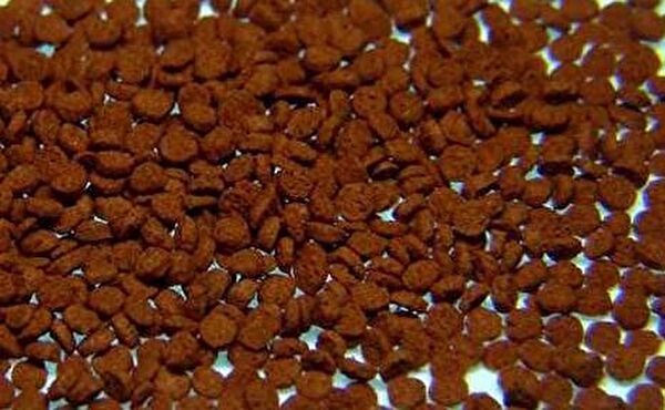 Tropical Balık Yemi