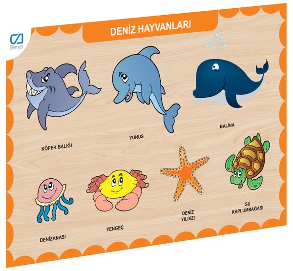 Freedom Eğitici Oyuncaklar