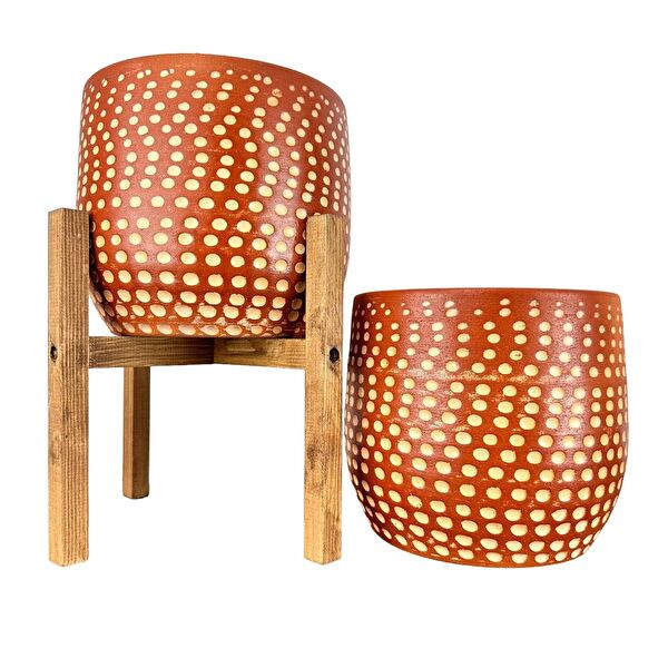 Bitki Tasarımı Vazo, Saksı