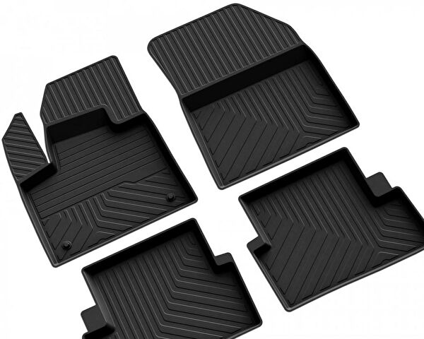 Ferrous Oto Paspası