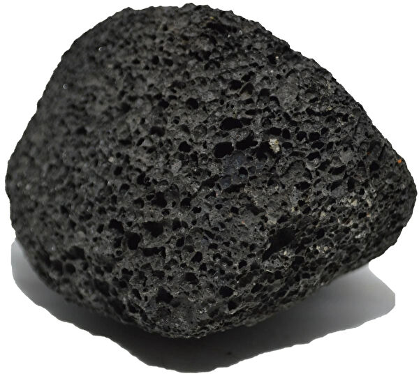 Dara Sabun Ayak ve Topuk Törpüsü, Ponza