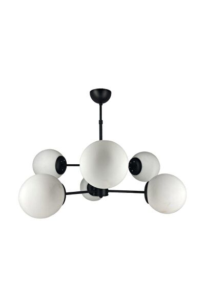 Mutu Ticaret Avize, Sarkıt