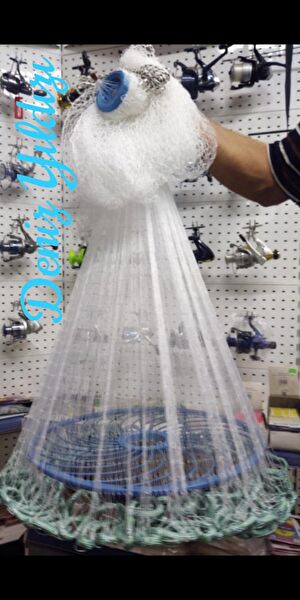 Deniz Yıldızı Kepçeler ve Livarlar