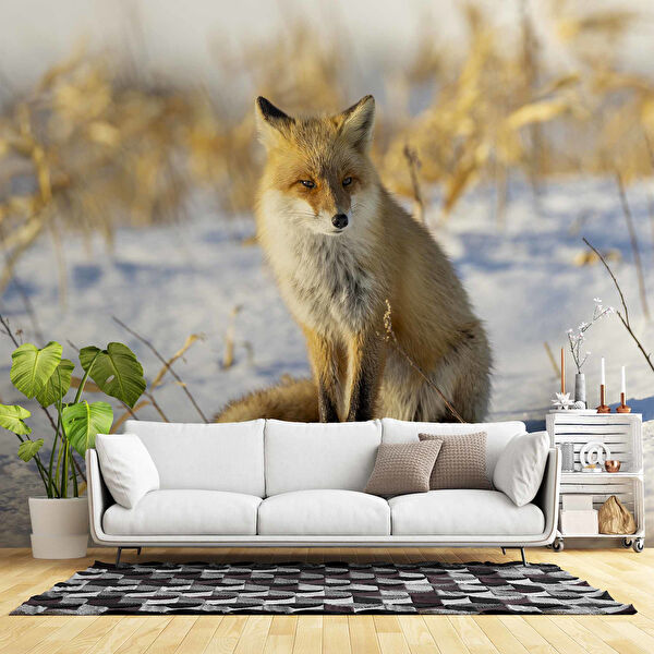 duvarkagidibaski Duvar Kağıdı