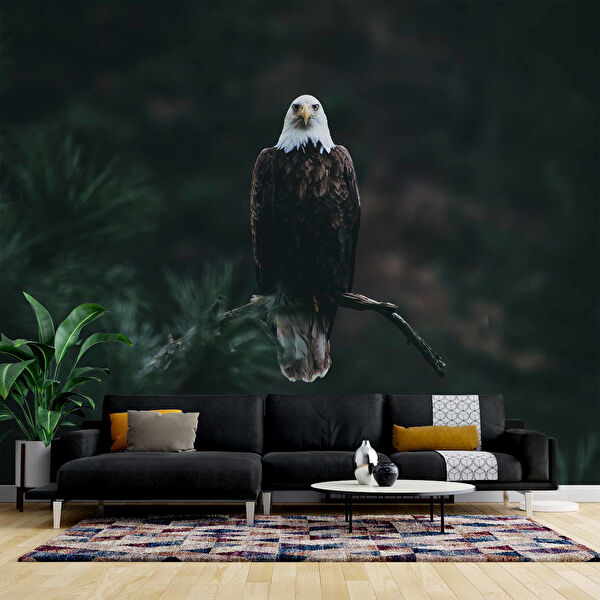 duvarkagidibaski Duvar Kağıdı