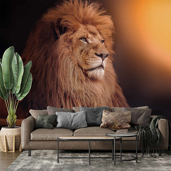 duvarkagidibaski Duvar Kağıdı