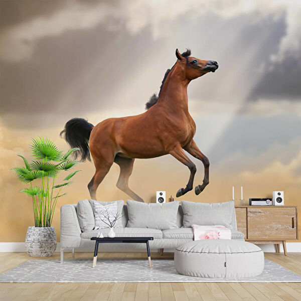 duvarkagidibaski Duvar Kağıdı