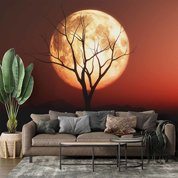 duvarkagidibaski Duvar Kağıdı