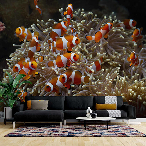 duvarkagidibaski Duvar Kağıdı