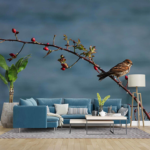 duvarkagidibaski Duvar Kağıdı