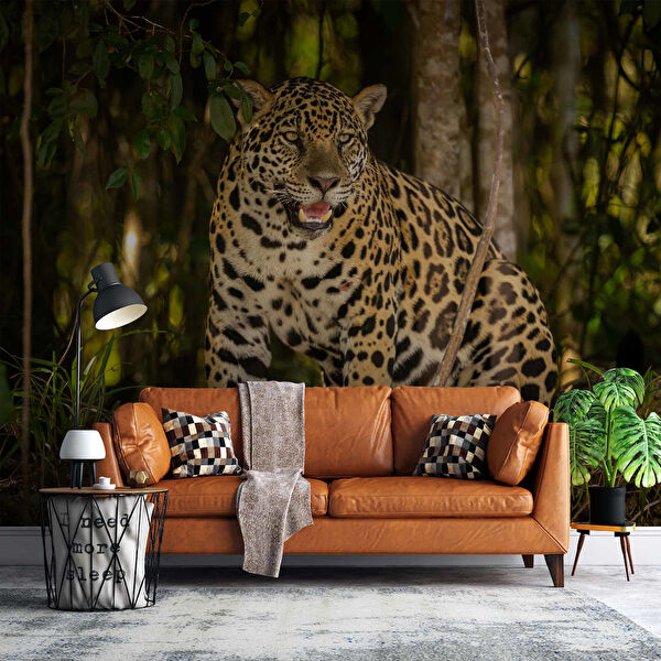 duvarkagidibaski Duvar Kağıdı