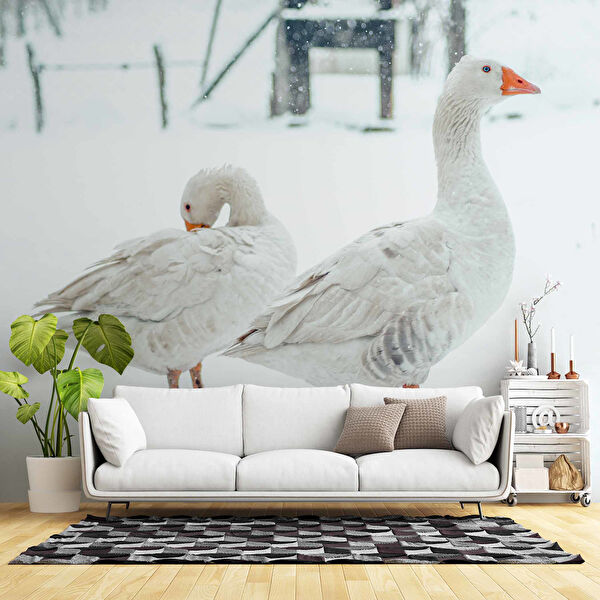 duvarkagidibaski Duvar Kağıdı