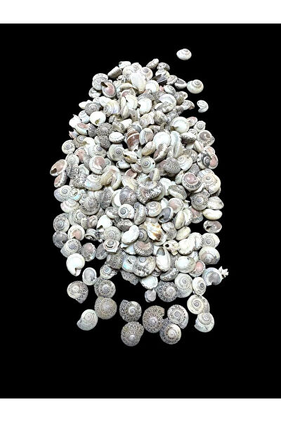 Stonechem Pasta Süsleri