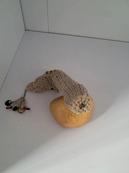 Emira Kalemlik, Organizer