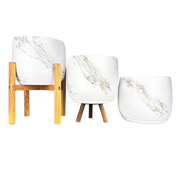 Bitki Tasarımı Vazo, Saksı