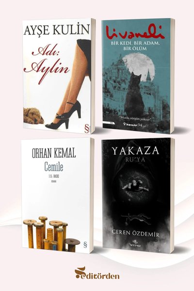 Nirengi Yayınları Roman Kitapları