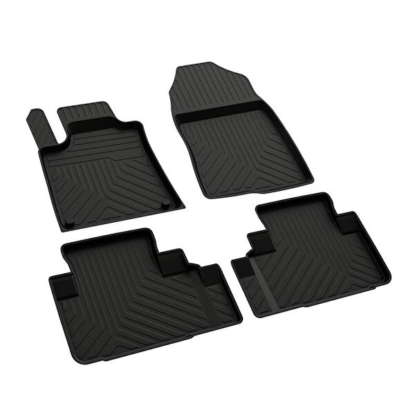 Ferrous Oto Paspası