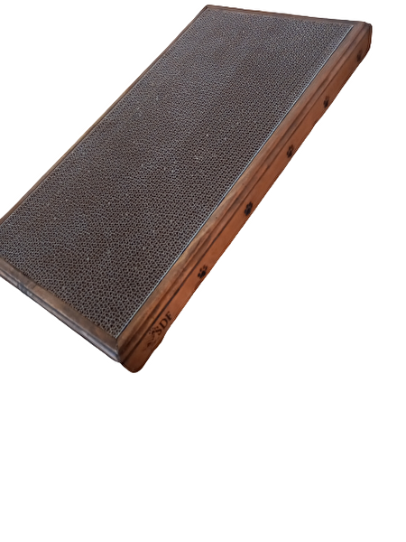 sdf kereste Kedi Tırmalama