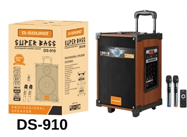 D-Sound Gitar Amfisi