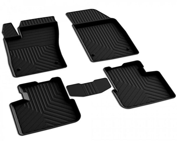 Ferrous Oto Paspası